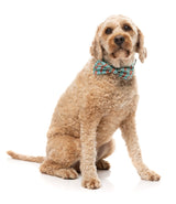 Blitzen Blizzard - Bowtie by FuzzYard