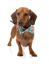 Blitzen Blizzard - Bowtie by FuzzYard