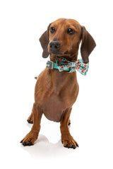 Blitzen Blizzard - Bowtie by FuzzYard