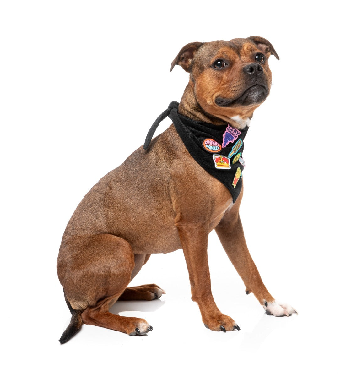 Rep It - Merit Bandana by FuzzYard