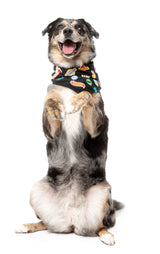 Rep It - Merit Bandana by FuzzYard