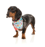 small dog wearing the you drive me glazy bandana by fuzzyard