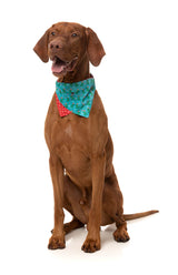 Tree Rex - Bandana - Christmas Pet Accessory by FuzzYard