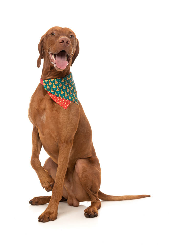 Pizzamas Tree - Bandana - Christmas Pet Accessory by FuzzYard