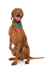 Pizzamas Tree - Bandana - Christmas Pet Accessory by FuzzYard