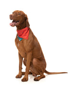 Pizzamas Tree - Bandana - Christmas Pet Accessory by FuzzYard