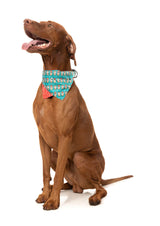 Disco Deers - Bandana - Christmas Pet Accessory by FuzzYard