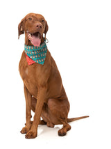 Disco Deers - Bandana - Christmas Pet Accessory by FuzzYard