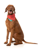 Disco Deers - Bandana - Christmas Pet Accessory by FuzzYard