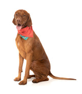 Disco Deers - Bandana - Christmas Pet Accessory by FuzzYard