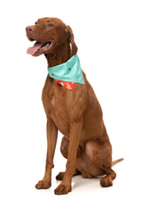 Naughty Ginger - Bandana - Christmas Pet Accessory by FuzzYard