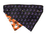 Boogie Nights - Bandana - Halloween Pet Accessory by FuzzYard