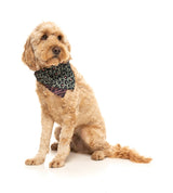 Savanna - Bandana by FuzzYard