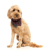 Savanna - Bandana by FuzzYard