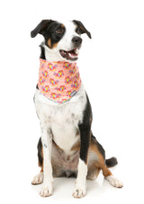 Two-Cans - Cooling Bandana by FuzzYard