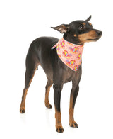 Two-Cans - Cooling Bandana by FuzzYard