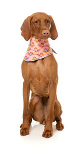 Two-Cans - Cooling Bandana by FuzzYard