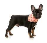 Two-Cans - Cooling Bandana by FuzzYard