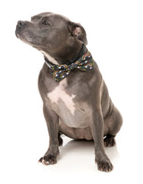 Follow The Rainbow Baby - Bowtie by FuzzYard