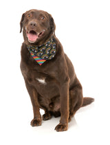 Follow The Rainbow Baby - Bandana by FuzzYard