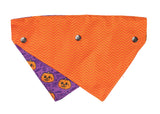 Jack Jack Jackie Lantern Bandana - Purple by FuzzYard