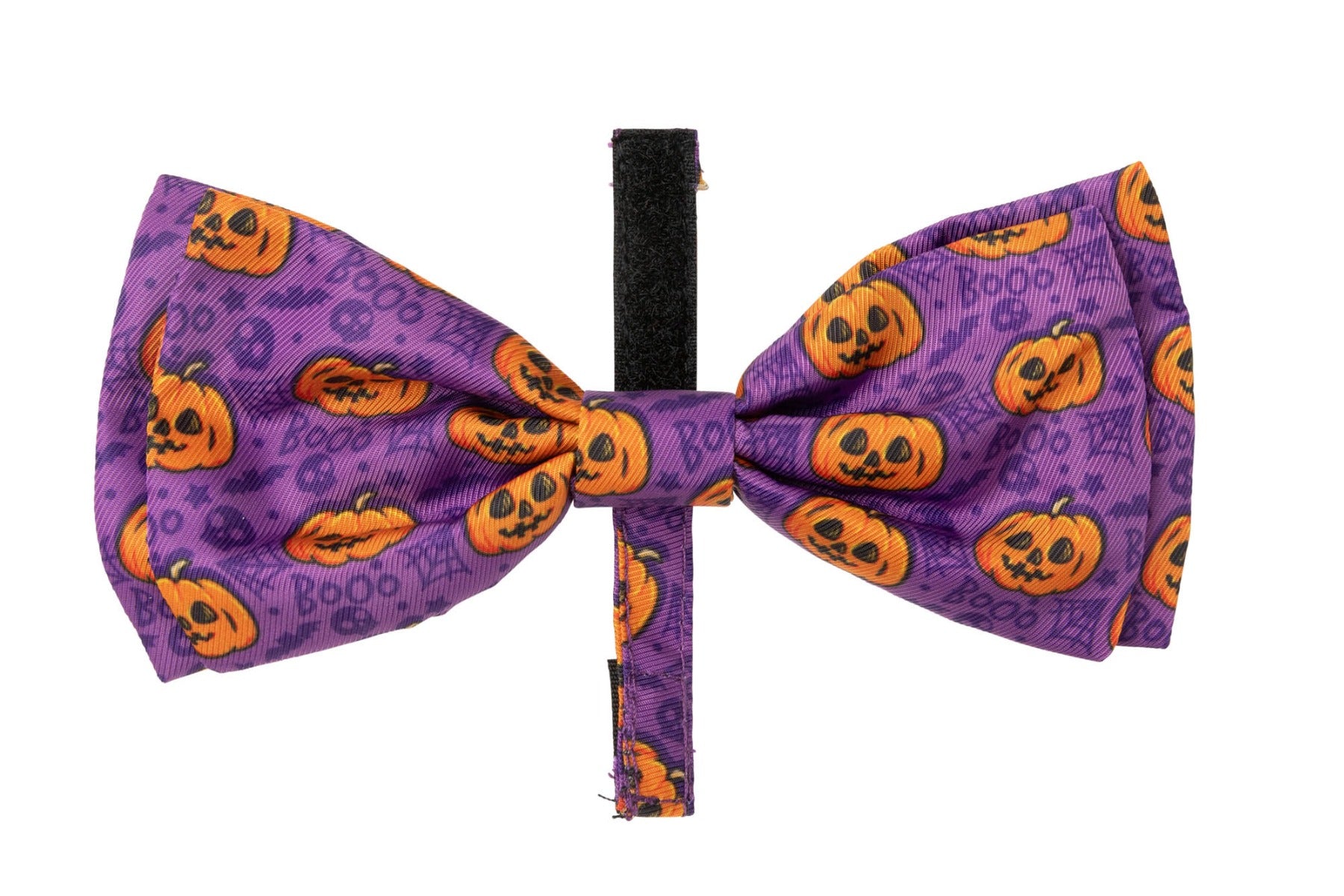 Jack Jack Jackie Lantern Bowtie Purple - by FuzzYard