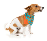 Jack Jack Jackie Lantern Bandana - Teal by FuzzYard