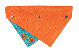 Jack Jack Jackie Lantern Bandana - Teal by FuzzYard
