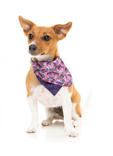 FuzzYard Fiesta - Bandana by FuzzYard