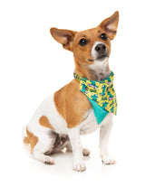 Sk8ter Gator - Bandana by FuzzYard