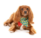 Merry Quackmas - Dog 2 Pack