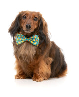 Merry Quackmas - Dog 2 Pack