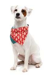 Holly Jolly Cookies - Dog 2 Pack