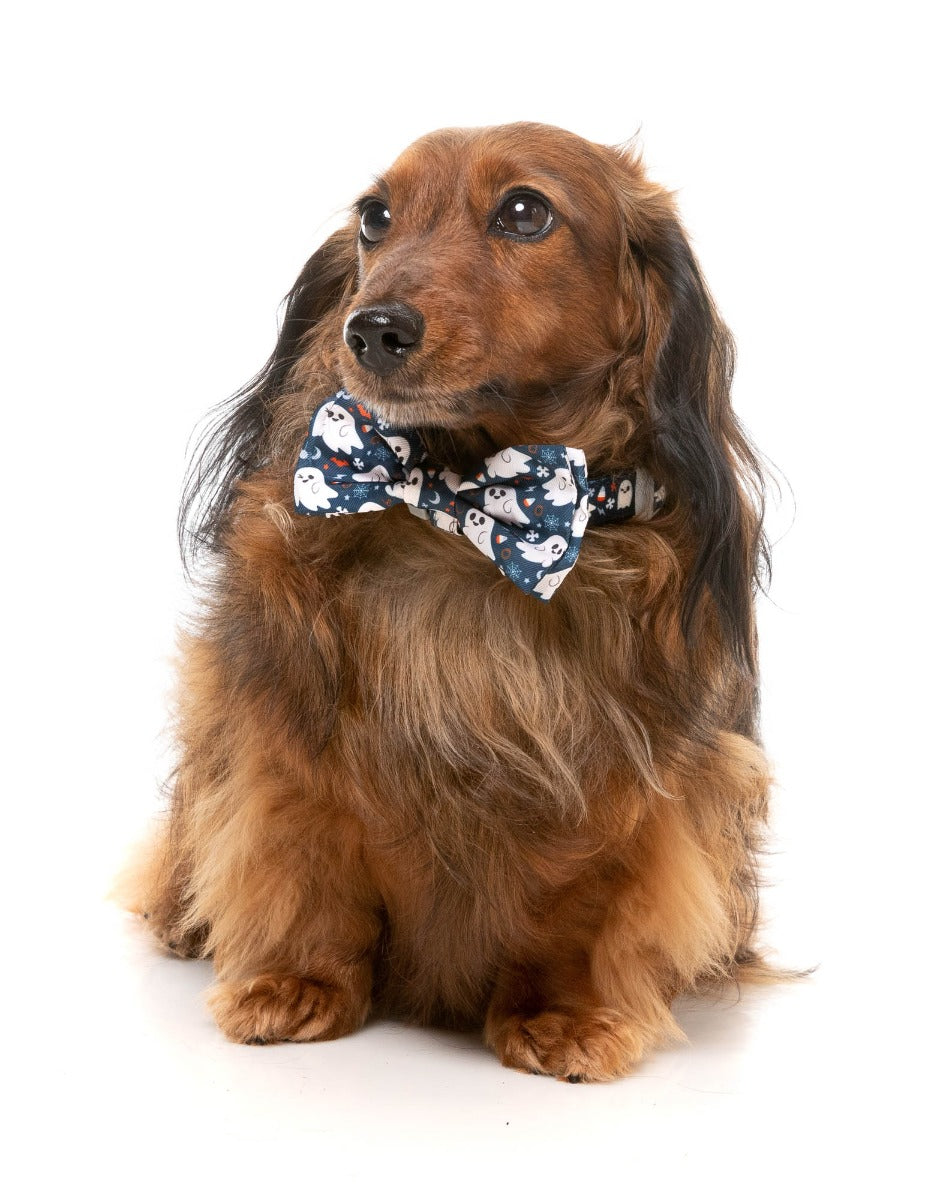 That's The Spirit - Dog 2 Pack by FuzzYard