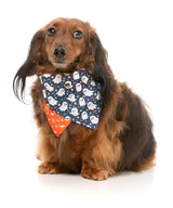 That's The Spirit - Dog 2 Pack by FuzzYard