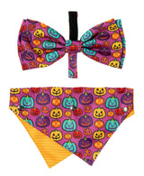 Oh My Gourd! - Dog 2 Pack