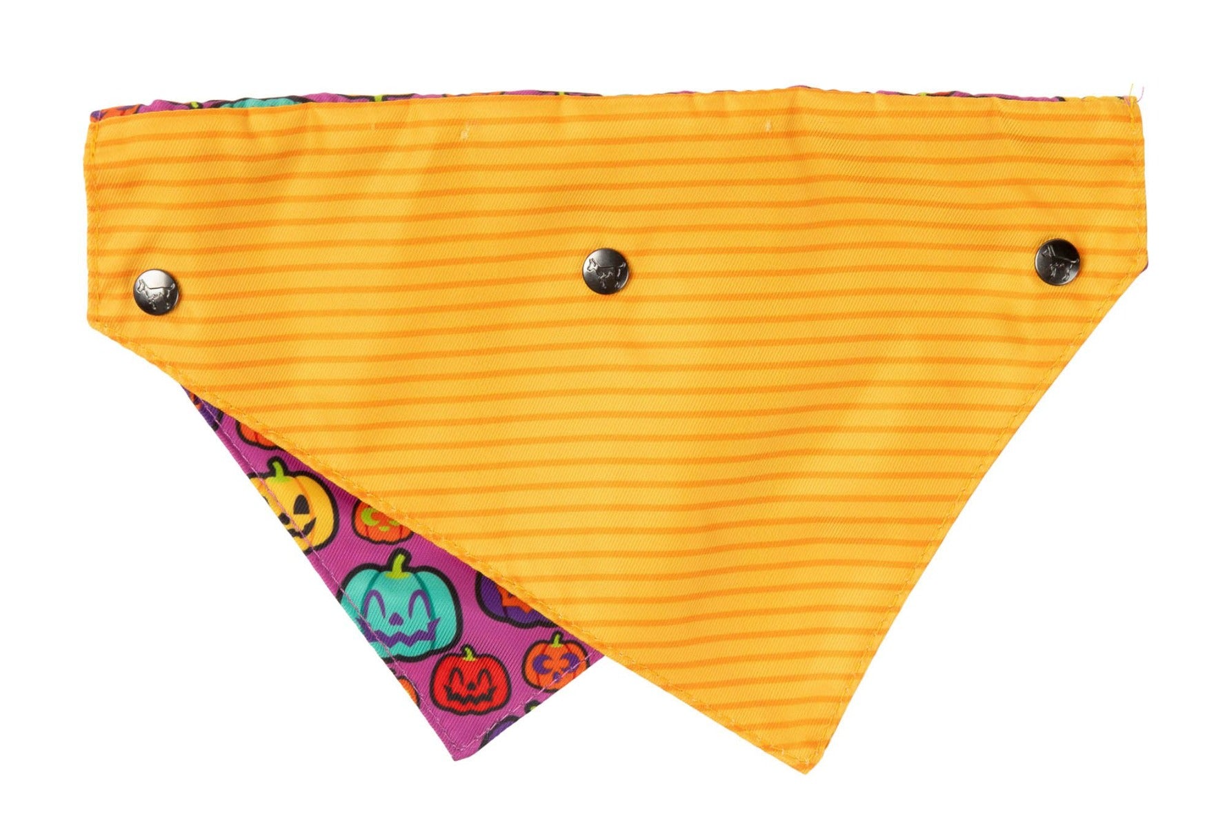 Oh My Gourd! - Dog 2 Pack