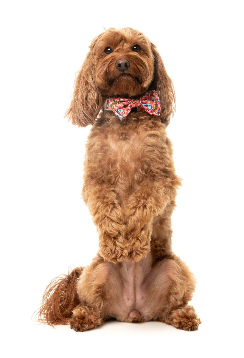 The Homies - Dog 2 Pack