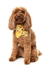 What the Duck - Dog 2 Pack