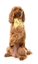 What the Duck - Dog 2 Pack