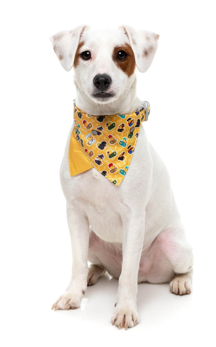What the Duck - Dog 2 Pack
