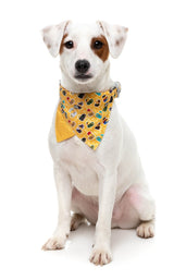 What the Duck - Dog 2 Pack