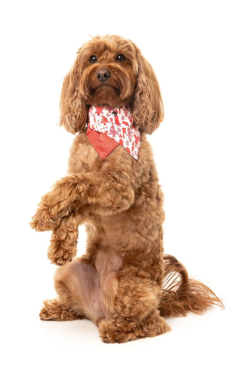 Meat Heads - Dog 2 Pack