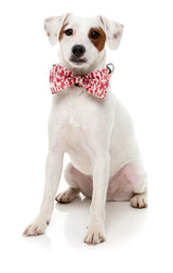 Meat Heads - Dog 2 Pack