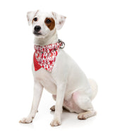 Meat Heads - Dog 2 Pack