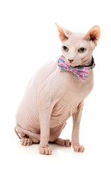 Meowcarons - Cat Fashion Pack by FuzzYard