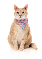 Meowcarons - Cat Fashion Pack by FuzzYard