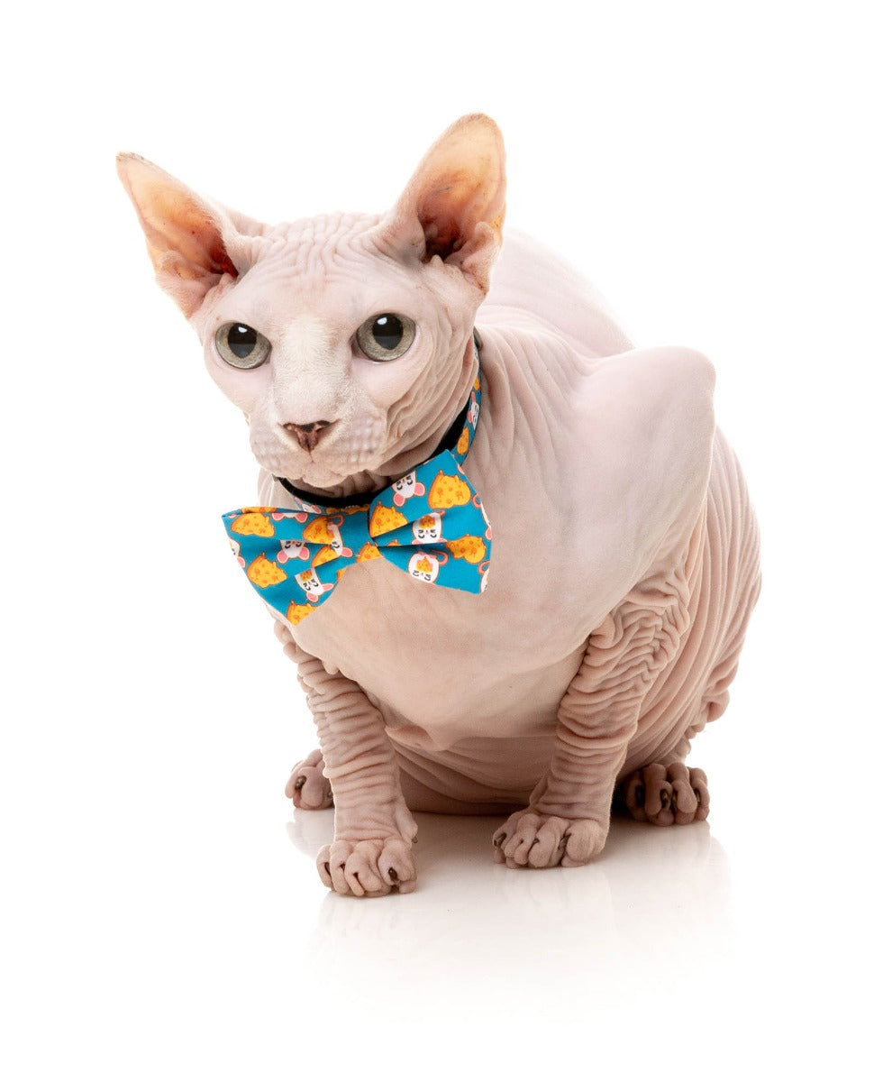 Cheesy Hearts - Cat Fashion Pack by FuzzYard