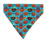 Cat-O-Lanterns - Cat Fashion Pack by FuzzYard