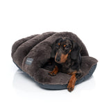 Dreameazzzy Snuggler - Truffle by FuzzYard